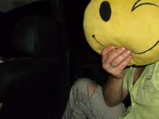 the_male_mind Live Webcam on BongaCams
