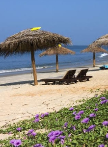 Dazzo My Photos photo 3739750