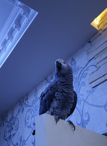 To4ko123 My Photos photo 8298595