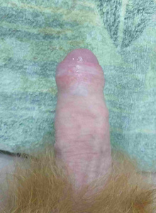 Fotografie #5352718