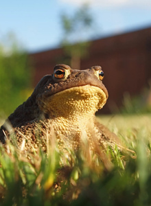 Fotografie #2527498