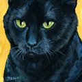 Uglycatlover