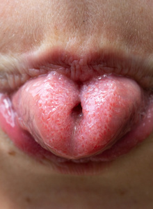 DIMchkA My Photos photo 4698180