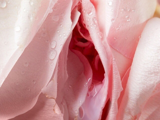 Весёлые картинки:)