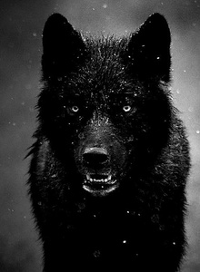 _HATIIKO_ My Photos photo 7494317