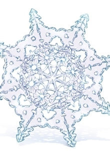 snezka888 My Photos photo 1181516