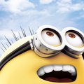 minion-Bob