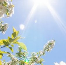 BCEM_BAM_BECHA_HA_BCE_BPEMEHA