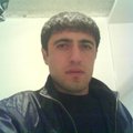 Polar_Bear