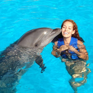 swim with dolphins)