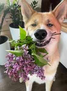 Vasip7777 My Photos photo 13419339