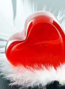 Alex196 My Photos photo 1199067