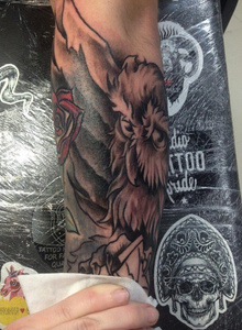 Ostap666 My Photos photo 3546394