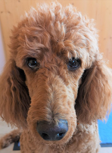 LovePiercing My Photos photo 6213295