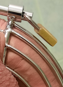 Niesmialy303 My Photos photo 10734033