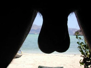 My Photos