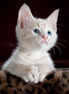 LiamJoness My Photos photo 4388728