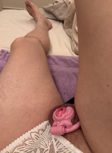 smallsausage My Photos photo 14530478