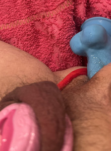 smallsausage My Photos photo 14718590