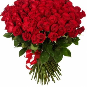 Pamper your darlings))