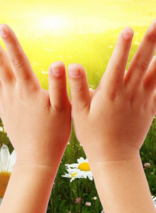 TRESKA_OPT19 My Photos photo 3808061