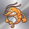 -ToughShrimp-