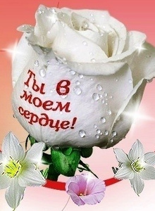 makssimkaa My Photos photo 2247451