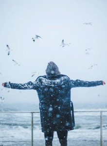 Fotografie #13495504