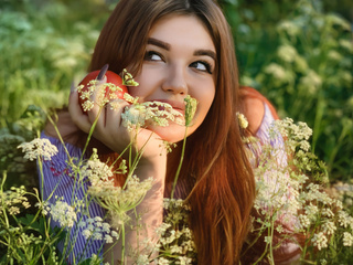 🐱🌿🐱🌿🐱🌿🐱🌿🐱🌿