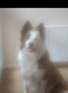 hornyb1 My Photos photo 9202969