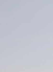 paja_1 My Photos photo 8396550