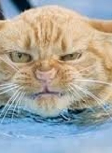 _kotyara66_ My Photos photo 3112019