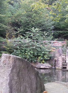 Φωτογραφία #2631870