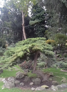 Φωτογραφία #2631871