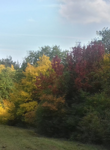 Φωτογραφία #2631887