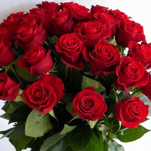 Bouquet of roses
