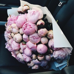 flowers)