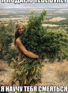 aladin-09 My Photos photo 2290189