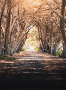 ExclusiveUser My Photos photo 8411805