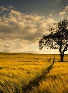 sab2345 My Photos photo 3277941