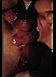 sucking_whore My Photos photo 15120619