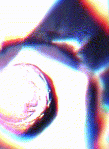 sucking_whore My Photos photo 15410045
