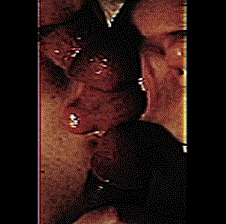 sucking_whore