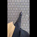 sucking_whore
