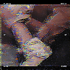 sucking_whore