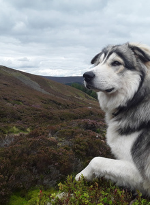 Purplefire My Photos photo 5158388