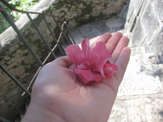 My Photos