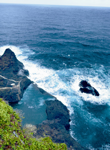 TrophyBoy Травел photo 12390412