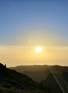 TrophyBoy Травел photo 12390413