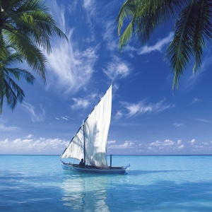 a holiday trip to an exotic country